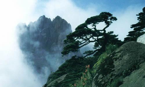 黄山巡回指南Word _350字