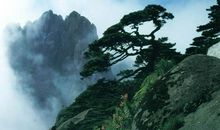 黄山导游词_350字