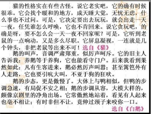 我喜欢这个地方_350字