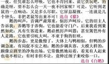 我喜欢的地方_350字