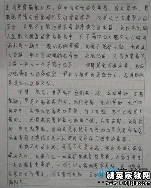 爱国成分1000字1_900字