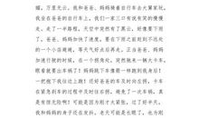 [难忘的2014征文]难忘的一件事_450字