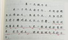 [难忘的2014征文]难忘的一件事_800字