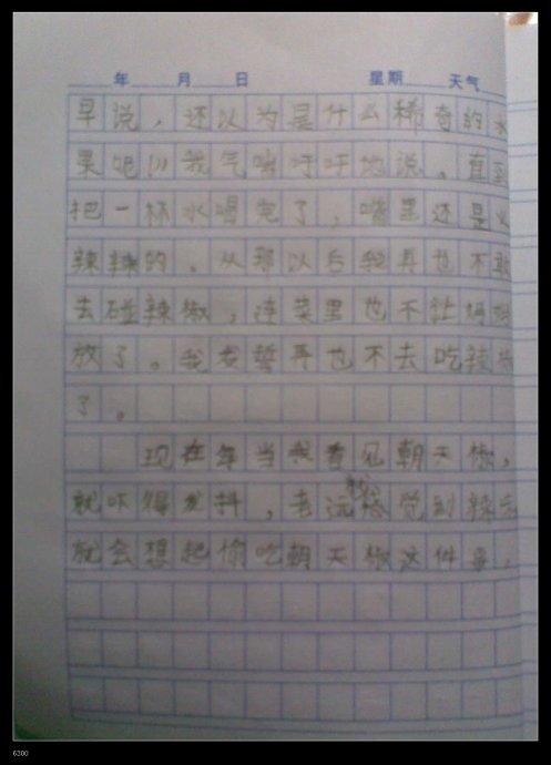 [令人难忘的2014年论文]难忘的东西_1000字