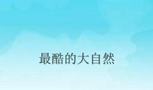 大自然的启示_1000字