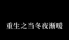 当冬夜渐暖_250字