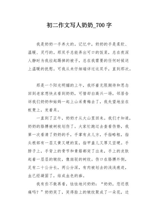 [令人难忘的2014年论文]最珍贵的记忆_700字