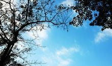 珍惜所拥有的天空_750字