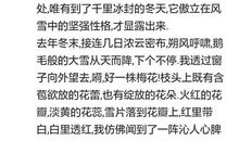 我和你（1）_600字