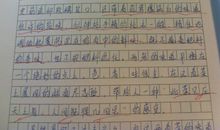 雄鹰的目光_900字
