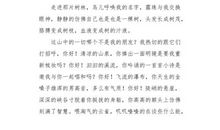 我和你（4）_550字