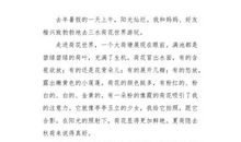 我和你（5）_650字