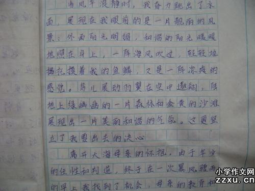 我想飞行_400字
