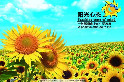 六年级：姚培伟钟管中心学校QQ：56819