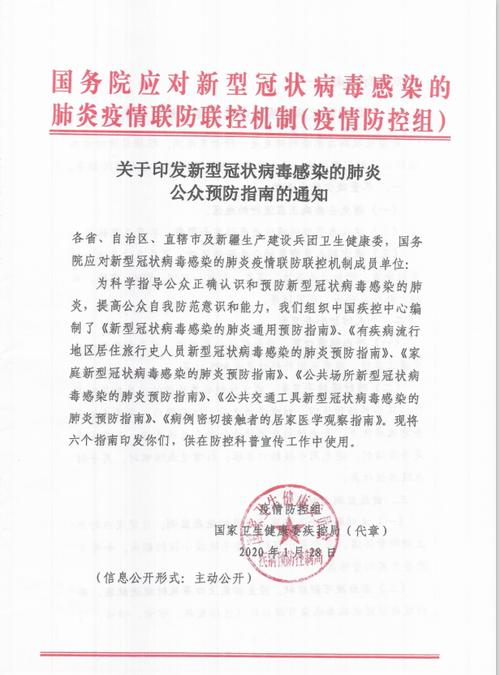 关于新的冠状动脉病毒肺炎组成：新冠状动脉病毒流行病2_1200字