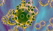 关于新型冠状病毒肺炎作文：抗击新型肺炎疫情的文章篇一_2000字