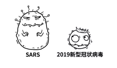 关于新的冠状动脉病毒肺炎：新的冠状动脉病毒肺炎 -  1200字