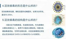 关于新型冠状病毒肺炎作文：新型冠状肺炎病毒疫情防治四_1200字