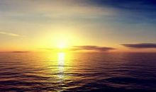 晨曦初起个人简介