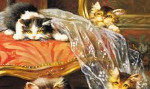 谢宝婷个人简介