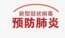 关于新型冠状病毒肺炎作文：抗击新型冠状肺炎日记篇三_650字