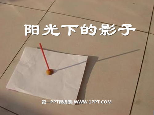 《阳光下，风的影子》
