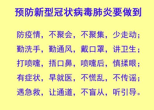 关于新的冠状动脉病毒肺炎组成：新的冠状动脉病毒流行工作作品一_1500字