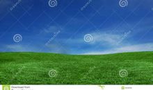 让天空更蓝 小草更绿_700字