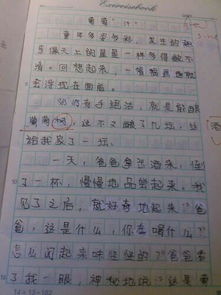 五年级：张金瑞