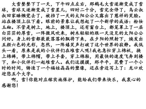 在雪地上的组成：飞雪_800字