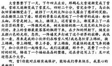 关于雪的作文：飞 雪_800字