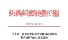 关于新型冠状病毒肺炎作文：新型冠状病毒的几点感想_650字