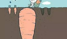 挫折，让我成长_800字