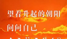 在挫折中学会坚持_400字