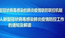 关于新型冠状病毒肺炎作文：什么是新型冠状病毒肺炎疫情？_450字