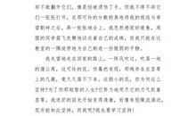 [PK赛]关于挫折的作文：矮个子的烦恼_500字