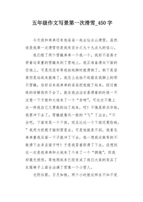 我的兄弟_450字