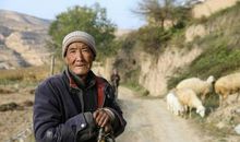 给甘肃陇西少年的一封信_1200字