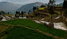 美丽的小田园_1000字