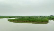 家乡的河套公园_550字