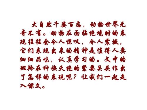 阅读_750字后，“斑飞飞”