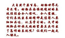 《斑羚飞渡》读后感_750字