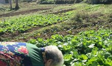 迷人的乡村_800字