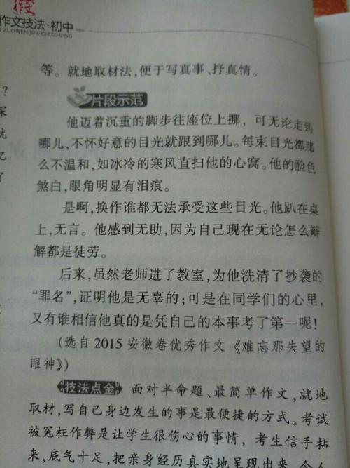 一些骗子_100字