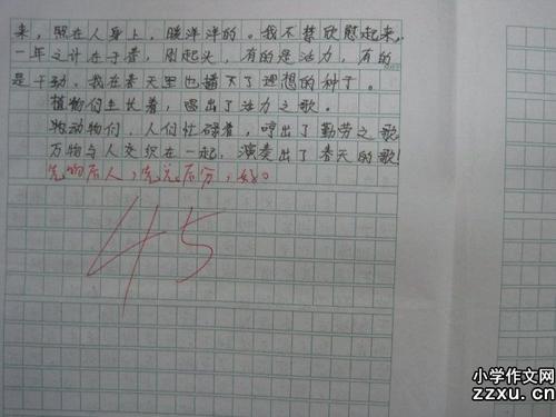 我喜欢春天的作文：我爱春天_400字