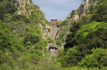 泰山之旅_800字