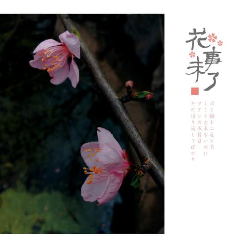 读你的感受像春天_650字样