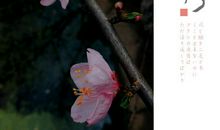 读你的感觉像春天_650字