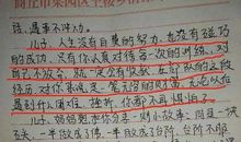 挫折是一笔财富_400字