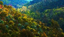 七彩山谷_1200字